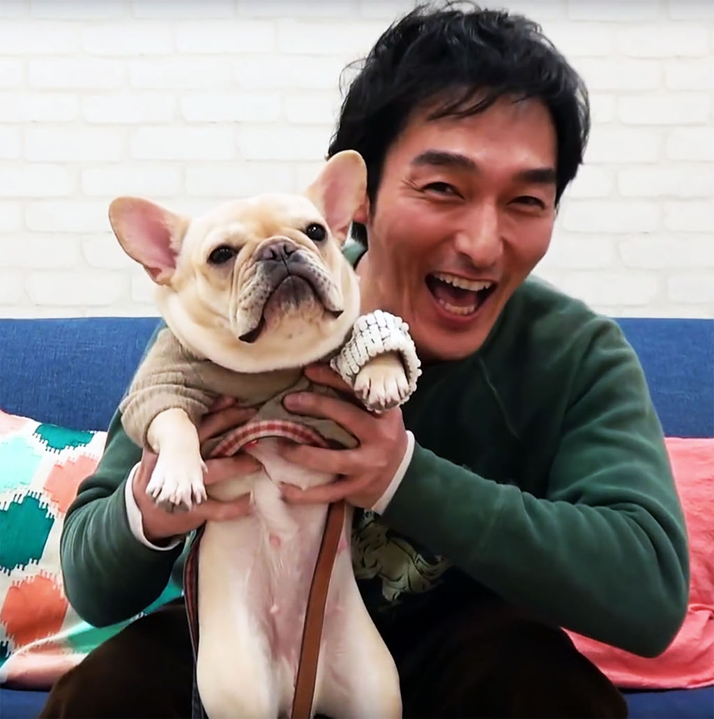 草彅剛の犬 フレンチドッグくるみの画像は ギャラも気になる Pinky Honey